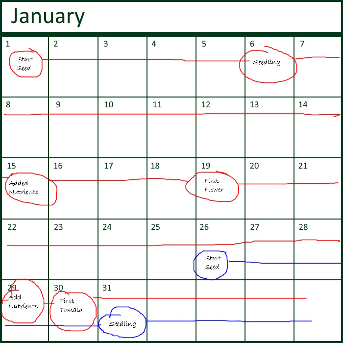 Calendar showing January with the First being on a Sunday. Some dates are marked with a line connecting events written on those days.