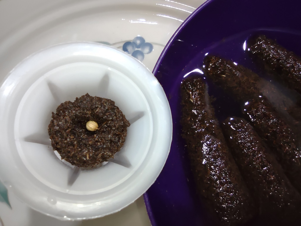 An AeroGarden pod containing a grow sponge with a large seed, next to a bowl of grow sponges soaking in a bowl of water