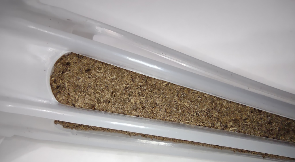 Close-up view of the grow plug in an AeroGarden pod