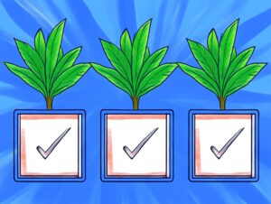 Color drawing of three plants in containers, and the containers are checkboxes that are checked.